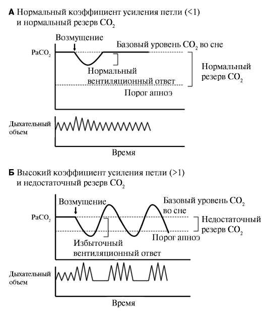 сонник