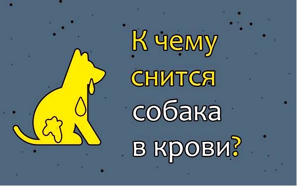 собака