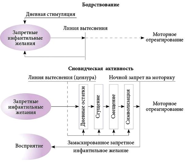 родить